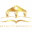 Ícone do site